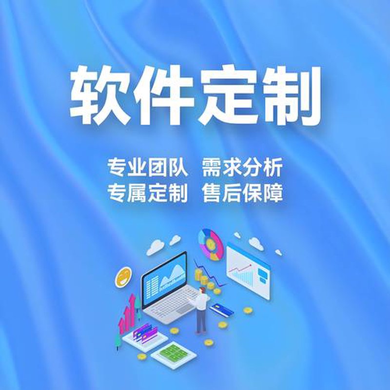 上海软件开发行业的技术创新与市场前景